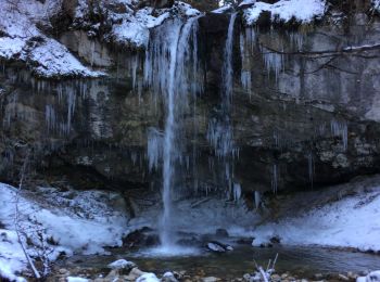 Tour Schneeschuhwandern Villard-de-Lans - Lac des Pres - Photo