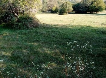 Randonnée Marche Dung - dung - Photo