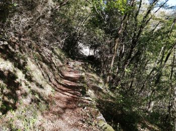 Randonnée Marche Courmes - bramafan cipieres - Photo