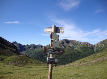 Tour Zu Fuß Castello-Molina di Fiemme - IT-E423 - Photo