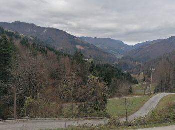 Excursión A pie Idrija - 135 ~ Pot kurirjev in vezistov NOV Slovenije - Photo