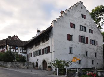 Tour Zu Fuß Otelfingen - Otelfingen - Buchs - Photo