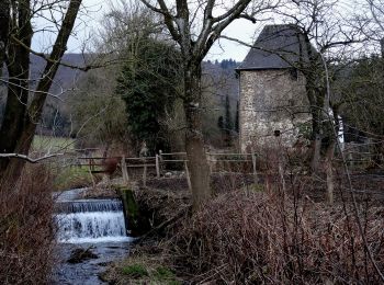 Tocht Te voet Meschede - Enste Rundweg A9 - Photo