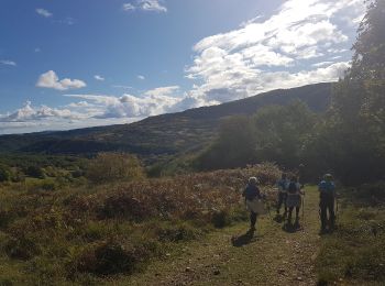 Tocht Noords wandelen Olmet-et-Villecun - Col de La Défriche - Mas Trinquier - Photo