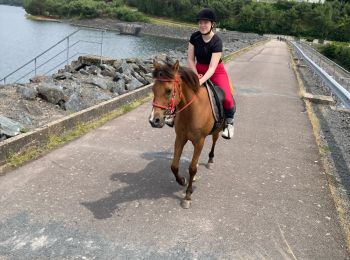 Excursión Paseo ecuestre Badonviller - tour du lac Abby Joyeux Tiboy - Photo