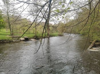 Randonnée Marche Châteauponsac - Ballade du soir - Photo