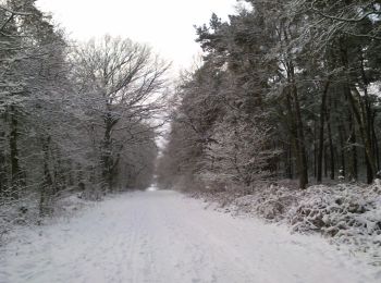 Tocht Te voet Oer-Erkenschwick - Haardgrenzweg Rundweg A6 - Photo