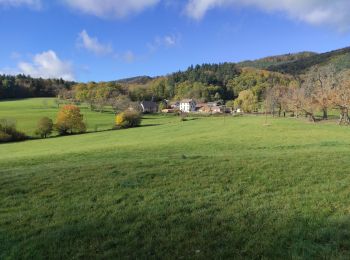 Tour Wandern Vöklingshofen - Voeglinshoffen S Marc  - Photo