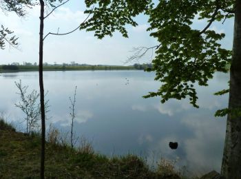 Randonnée A pied Plothen - Naturlehrpfad Dreba-Plothen Erweiterung - Photo