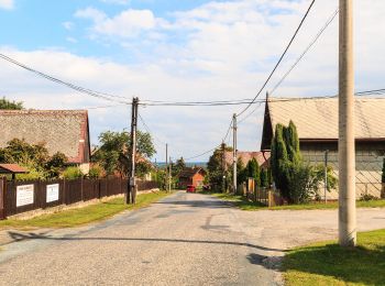 Tocht Te voet Loučeň - [Ž] Seletice - Loučeň - Photo