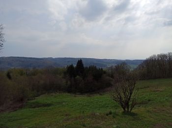 Excursión Senderismo Sainte-Marie-en-Chanois - 22-04-21 rando des 2 chapelles Amage - Photo