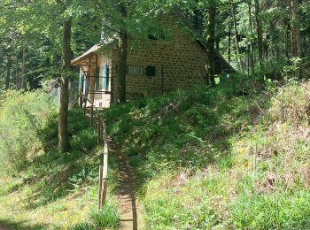 Randonnée Marche Walscheid - Elsassblick,Refuge des Bûcherons, Altmatt,M.F. du Grossmann  - Photo