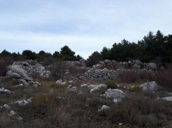 Tocht Stappen Cipières - De Cipieres au plateau de Cavillore - Photo