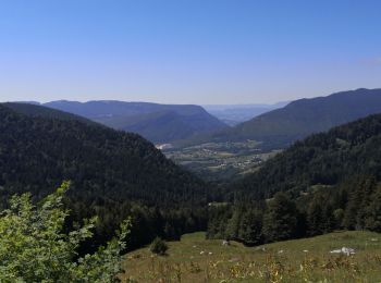 Excursión Senderismo Bellecombe-en-Bauges - boucle de la Bornette - Photo