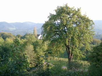 Tocht Te voet Leutschach an der Weinstraße - Kulinarische Weinberg-Wanderung - Photo