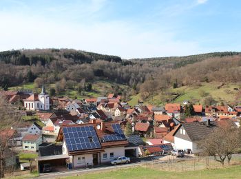 Tocht Te voet Flörsbachtal - Ortswanderweg Flörsbachtal 6 - Photo