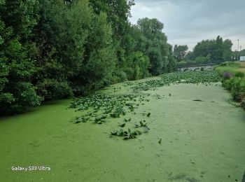 Tocht Stappen Chalette-sur-Loing - Chalette sur Loing 45 - Photo