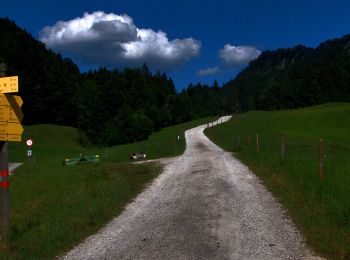 Excursión A pie Gemeinde Walchsee - Wanderweg 48 - Kaiserwinkl - Photo