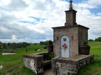 Randonnée Marche Xertigny - Xertigny : circuit n'5 les granges Richard 10-05-19 - Photo