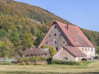 Percorso A piedi Pommelsbrunn - 1000hmr Südkette - Photo