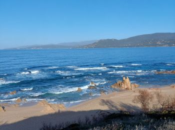 Tocht Stappen Propriano - Belambra-Cap Laurenzu- Paratelle  - Photo