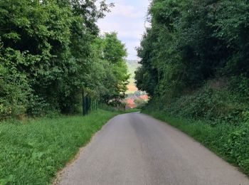 Tocht Stappen Bouxières-aux-Chênes - bouxieres aux chênes - la tour de crany - Photo