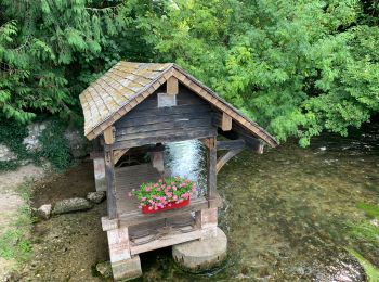 Excursión Senderismo Amfreville-sur-Iton - Les sentiers de l’Iton - Photo