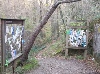 Trail Walking Lunas - RANDONNEE DE LAVAL DE NIZE - Photo