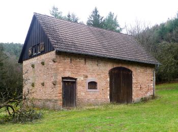 Percorso A piedi Reichelsheim (Odenwald) - Rundwanderweg Bockenrod 3 - Photo