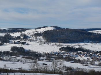 Tour Zu Fuß Ehrenberg - Rhönrundweg 7 - Photo