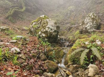 Tocht Stappen Corbel - Corbels, le col des egaux - Photo