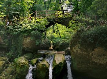 Excursión Senderismo Waldbillig - Les cascades du Schiessentümpel W7 - Photo