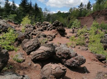 Excursión Senderismo Saint-Genès-Champanelle - puy de labassol, puy de la vache depuis la cassièrre  - Photo