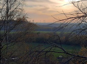 Randonnée Marche La Louvière - A travers les terrils - Saint Vaast - Bois du Luc - Photo