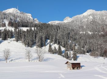 Tocht Te voet Bayrischzell - Wendelstein - Osterhofen (Seilbahn-Talstation) - Photo