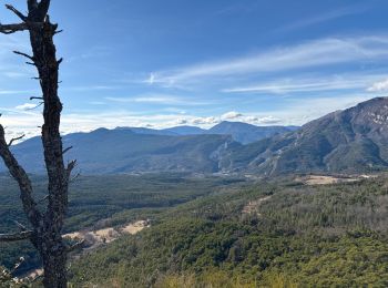 Trail sport Le Bourguet - Le Bouguet - Photo