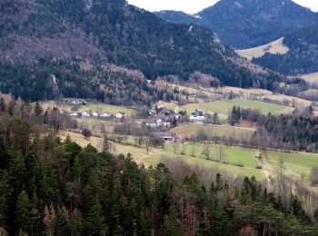 Excursión A pie Gemeinde Miesenbach - Balbersdorf - Zur Höh - Waldegger Haus - Photo