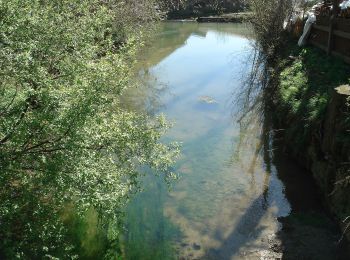 Trail On foot Rothenburg ob der Tauber - Rothenburger W5 - Jakobsweg - Photo