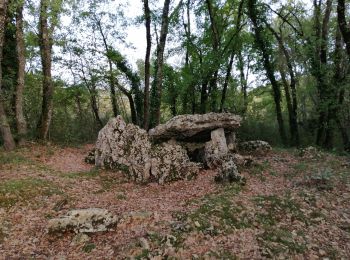 Trail Walking Château-Larcher - Château-Larcher - Photo