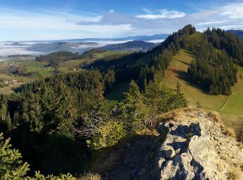 Randonnée A pied Guggisberg - Guggershorn - Laubbach - Photo