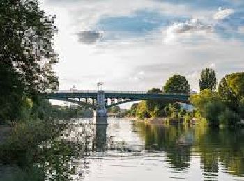 Tour Wandern Saint-Maur-des-Fossés - Boucle de la Marne de Saint-Maur à Joinville - Photo