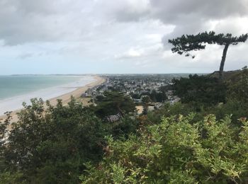 Randonnée Vélo de route Saint-Pair-sur-Mer - Boucle entre Jullouville et Cross-Paqueray - Photo