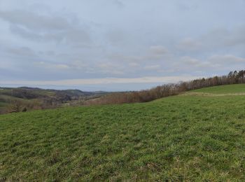 Randonnée Marche Virigneux - Randonnée de Vérigneux - Photo