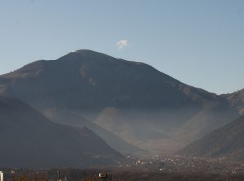 Percorso A piedi Carpineto Romano - Acqua del Carpino-Monte Gemma - Photo