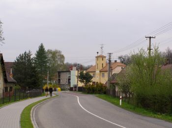 Excursión A pie Pržno - CZ-značení je vybledlé nebo zamalované - Photo