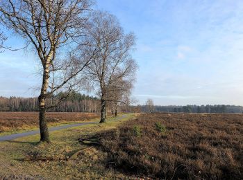 Randonnée A pied Heerde - Dellen wandeling - Photo