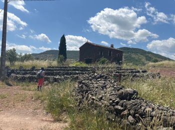 Percorso sport Celles - Vailhés, Celles, Le Puech ,2024  - Photo