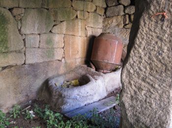 Percorso A piedi Castanheiro do Norte e Ribalonga - Trilho do Senhor da Boa Morte - Photo