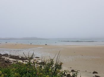 Excursión Senderismo Pleumeur-Bodou - L'île Grande Tregastel6 - Photo