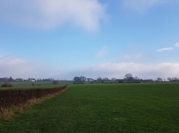 Tocht Stappen Voeren - Ulvend  - Photo